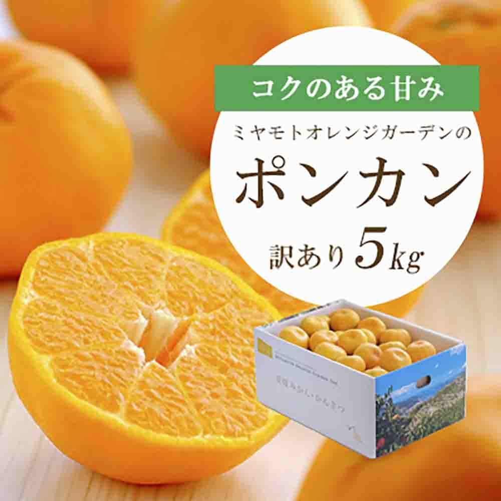 
                  【先行受付】愛媛の新春柑橘 芳醇な香りのポンカン 5kg＜訳あり＞＜C25-135＞【1248059】 YWTAP078
                