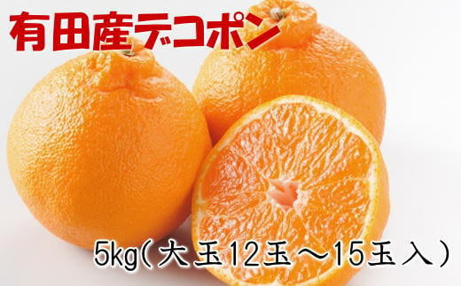 【お味濃厚】紀州有田産 の 大玉 デコポン 5kg (12玉～15玉入り・青秀以上)※2025年1月中旬～3月中旬頃順次発送(お届け日指定不可)【tec811A】