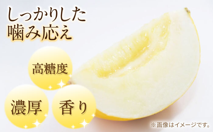 メロン イエローキング 1箱 5kg以内 / メロン めろん フルーツ 果物 / 南島原市 / 南島原果物屋 [SCV039]