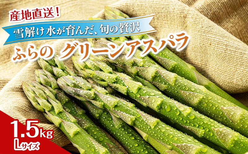 
                  2027年夏発送！ [JAふらの厳選]富良野産 グリーンアスパラ Lサイズ 約1.5kg アスパラ 野菜 アスパラガス
                