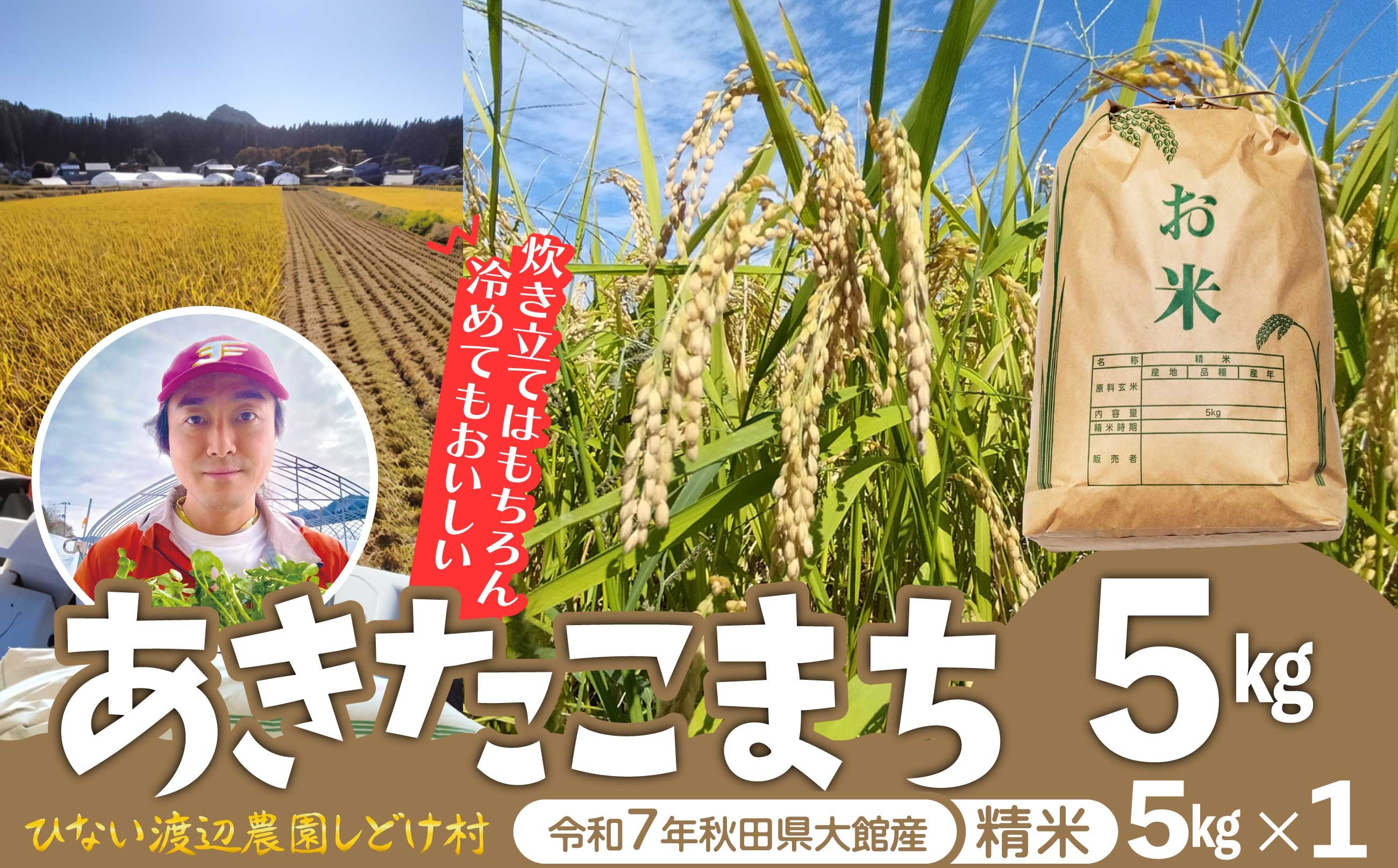 
                  【令和７年産】秋田県産「あきたこまち」精米5kg（5kg×1袋）95P9004　/ 米 普通米 5kg 精米 令和7年産 秋田県産 あきたこまち 5kg×1袋 おにぎり 大館 東北 秋田 小分け こわけ 大館市 5キロ 5ｷﾛ 5きろ 農家直送
                