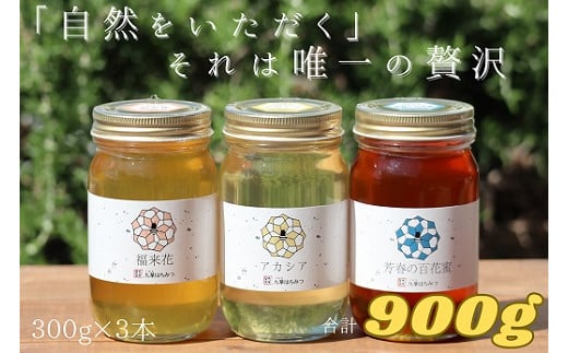 m_07　舘養蜂場本店　九華はちみつ　300g×３本