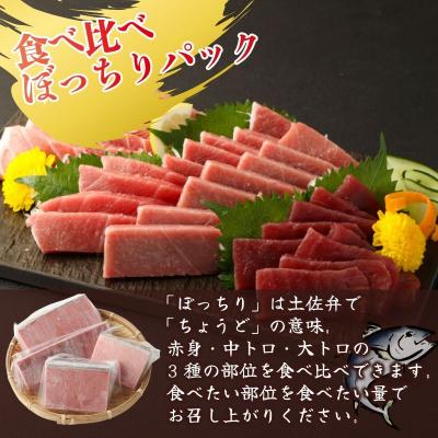 ふるさと納税 室戸市 【2回定期便】マグロとかつおの定期便