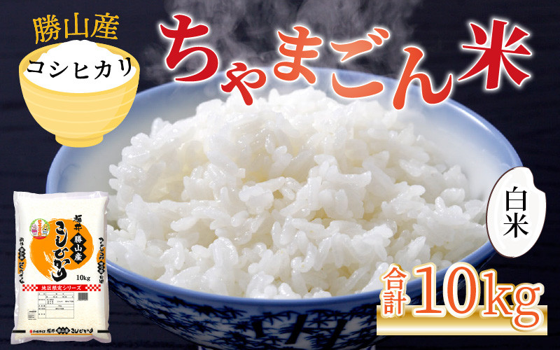 
                  【令和7年産 新米】勝山産 コシヒカリ ちゃまごん米 精米 10kg  | 米 コシヒカリ 新米 精米 令和7年産 福井県産 福井県 勝山市 ちゃまごん米 ブランド米 国産米 10kg お米 主食 農家直送 お取り寄せ 北陸 ごはん 美味しいお米 甘いお米 人気 おすすめ [C-010018]
                