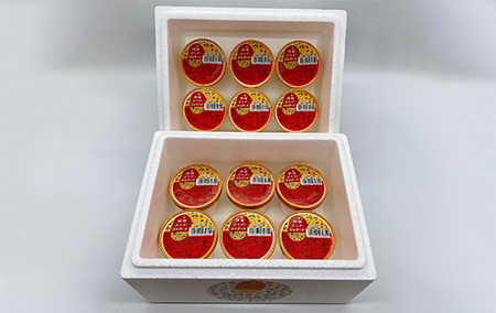 ＜高島屋選定品＞指宿マンゴージェラート12個セット(6個×2箱)(TK-239)59D1964