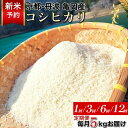 【ふるさと納税】【令和7年産 新米 先行予約】米 定期便 5kg 1回 3回 6回 12回 京都丹波産 コシヒカリ 佐伯の里の源流米 希少 産地直送≪予約 白米 5キロ 1ヶ月 3ヶ月 6ヶ月 12ヶ月 こしひかり 低農薬米 減農薬米 生活応援≫ ※北海道・沖縄・離島の配送不可