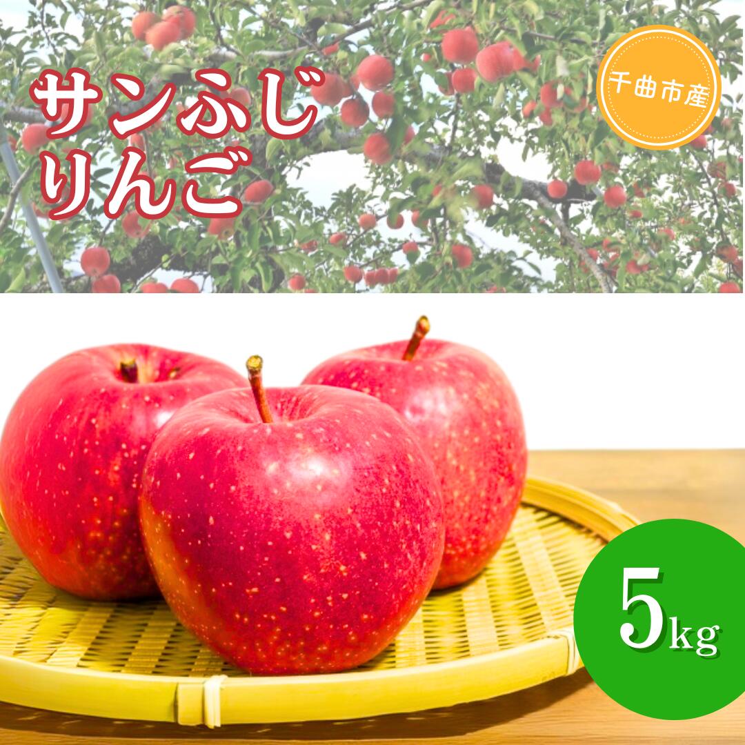 【ふるさと納税】【2025年先行予約】サンふじ りんご 約3kg / 約5kg 林檎 長野県産 千曲市 信州