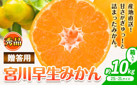 【先行予約】秀品 贈答用 宮川 早生 みかん 約 10kg (2S～2Lサイズ) みかん
