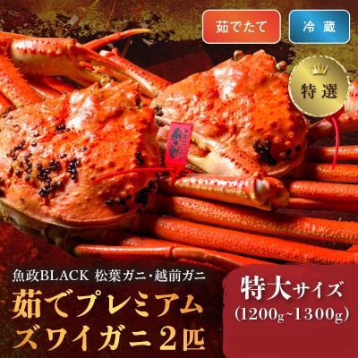 ふるさと納税 京丹後市 茹でプレミアムズワイガニ(松葉・越前)魚政BLACK特撰 特大サイズ 2匹(2026年1月〜発送)