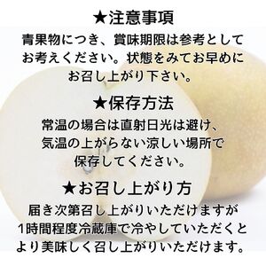 【南信州産】南水梨5kg 12～14玉入り
