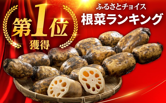 全国屈指の名産地 白石町から高品質れんこんをお届け！