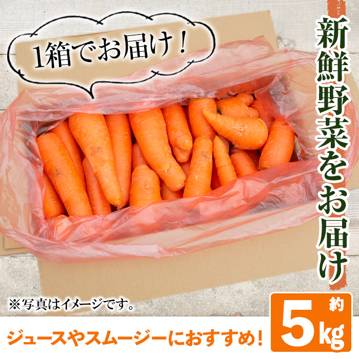 y503 ≪訳あり・数量限定≫湧水町産有機にんじん(約5kg) 国産 九州産 鹿児島産 有機野菜 有機栽培 にんじん 人参 ニンジン キャロットジュース 野菜 やさい おかず 旬 わけあり 訳アリ 不