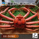 【ふるさと納税】越前がに 中 (約550g～700g)×2杯【1月～3月発送】 / 雄 ズワイガニ ずわいがに ズワイ蟹 越前ガニ ボイル 冷蔵 南越前町 送料無料