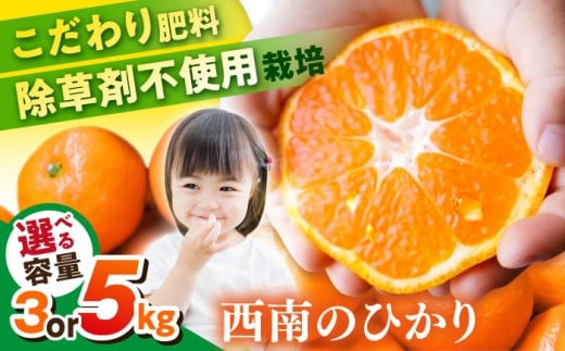 【先行予約】【約3kg】西南のひかり みかん ミカン 蜜柑 オレンジ 果実 フルーツ 【志村農園】 [AKGH005-1]