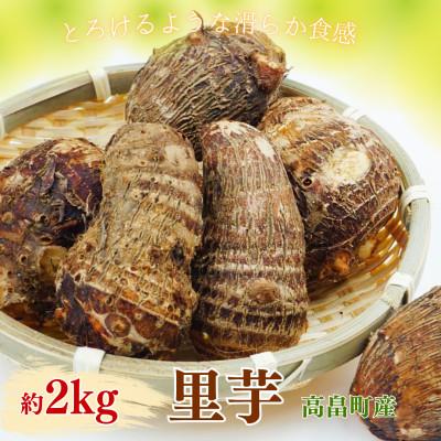 ふるさと納税 高畠町 【期間限定発送】里芋 約2kg (15〜20個) 土付き 農家の店しゃんくすろーど