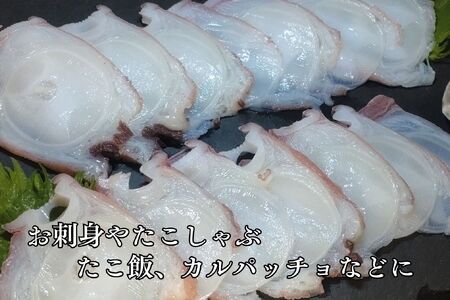 冷凍ゆでだこ（足）　1本　1.5kg以上【たこ　蛸　タコ　タコ足　たこ脚　マダコ　真蛸　まだこ　刺身　刺し身　ボイル　簡単　便利　冷凍　茹で　国産　太平洋産　無添加　北海道産】(0111)