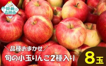 ★品種おまかせ★ 旬の小玉りんご 2種類8個入り 家庭用 りんご