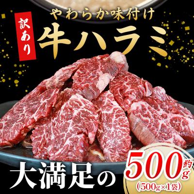 ふるさと納税 西予市 &lt;やわらか味付き 牛ハラミ 約500g&gt; 麹熟成 こうじ 訳あり 牛肉 肉 はらみ ハラミ