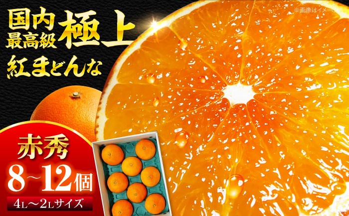 
愛媛県オリジナルみかん！ 紅まどんな 赤秀 8個から12個入（JA愛媛たいき管内産）【先行予約】【11月下旬から順次発送】 紅まどんな みかん ミカン 紅マドンナ フルーツ 果物 くだもの 愛媛県大洲市/株式会社フジ・アグリフーズ [AGBA002]
