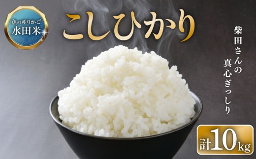 【数量限定 令和7年産】環境こだわり栽培 ひこにゃん米 こしひかり 10kg 白米 米 コメ お米 ご飯 ごはん コシヒカリ 5kg×2袋 5kg 10 令和7年 7年 順次発送 滋賀 彦根