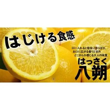 八朔(はっさく) 秀品 [約10kg]和歌山県有田産春みかん(果実サイズおまかせ)【1223502】