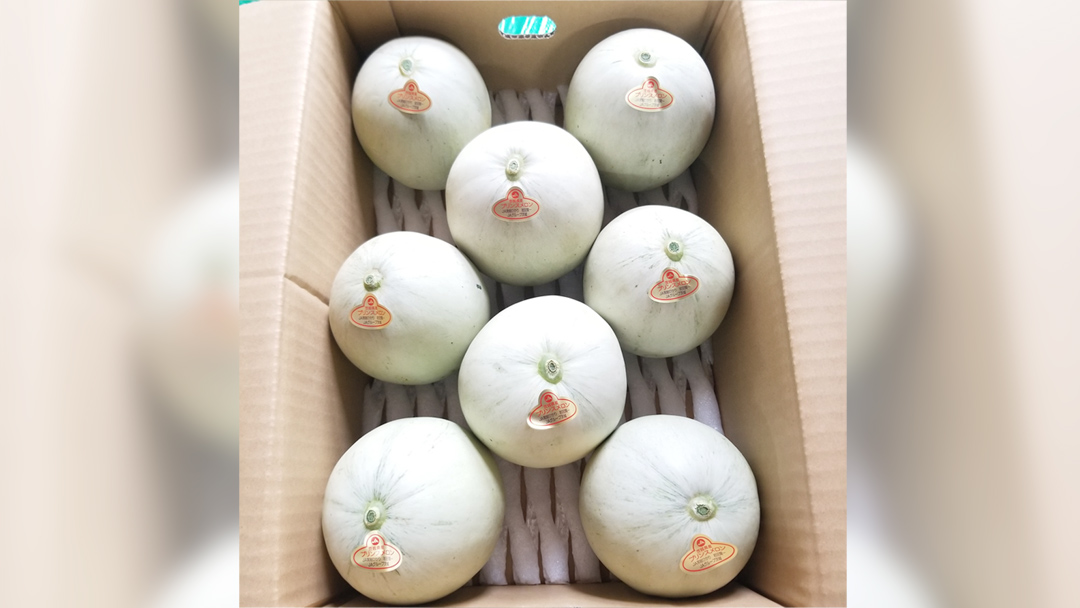 プリンスメロン ( 7～8玉 入り) 1箱 約 5kg フルーツ 果物 くだもの お取り寄せ 茨城県産 産直 直送 【 先行予約 2026年5月下旬 以降発送 】【 令和8年産 】【 農家直送 】【 昭和の大衆メロン 】 [AX020ya]