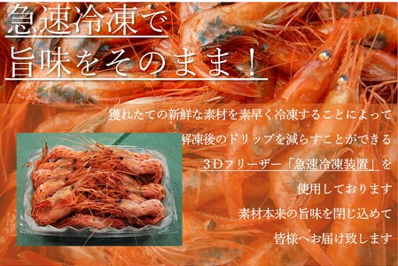 【急速冷凍】北海道苫前産シマエビ　500g×2《数量限定》（えび・海老・シマ・甘・イバラ・正月・海鮮・魚介類・北海道・刺身・生・ボイル・小分け・３D冷凍）