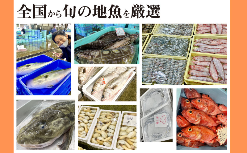 【お試し1回】 サカナDIY 2人前 4 ~ 5 種×1ヶ月 ( 鮮魚 冷凍 真空 小分け 魚料理キット セット 地魚 煮魚 焼き魚 刺身 お手軽 簡単調理 鮮魚 レシピ付き )