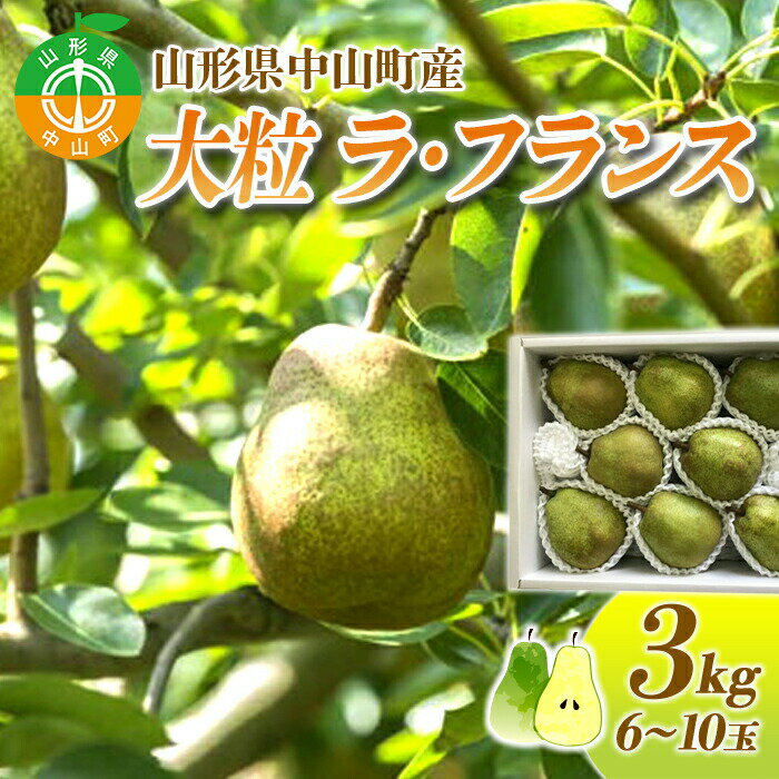 【ふるさと納税】 【2025年先行予約】山形県中山町産 大粒「ラ・フランス」3kg(6～10玉) 特秀品 期間限定 数量限定 山形県産 フルーツ くだもの 果物 ラフランス ナシ 梨 洋なし 洋梨 F4A-0109