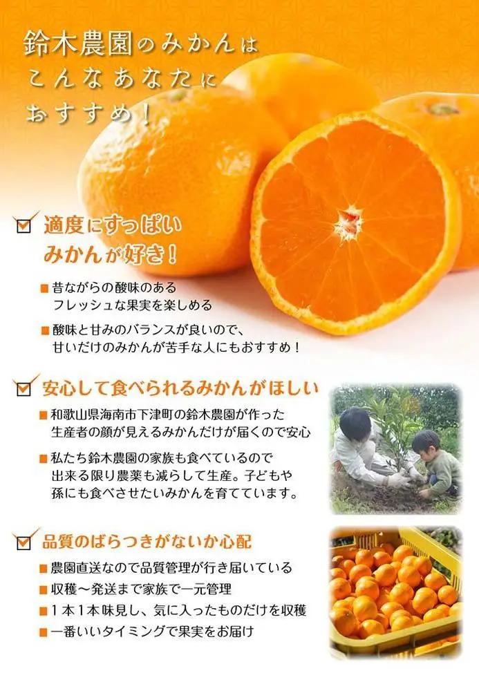 早生みかん 5kg SMLサイズ 和歌山県海南市鈴木農園から直送 早生みかん 贈答