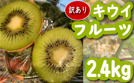 【先行予約】【12月上旬~順次発送】訳あり キウイフルーツ 2.4kg 腸活 グリーンキウイ 健康 甘い キウイ フルーツ 無選別 みつばちキウイ 規格外 デザート 果物 くだもの 国産 愛知県 南知多町 【配送不可地域：北海道 青森 秋田 岩手 沖縄 離島】