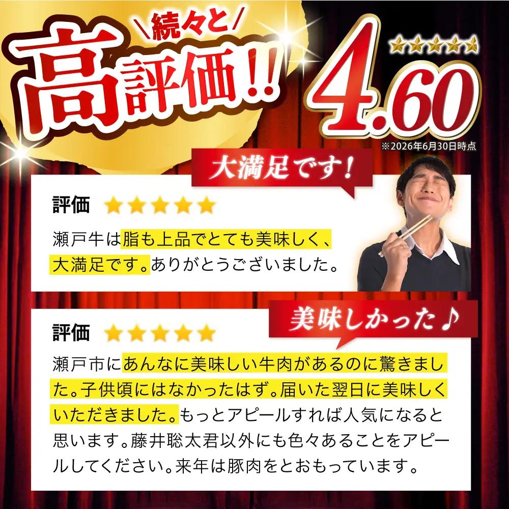 瀬戸山麓牛ロースステーキ 400g ステーキ [BBBQ030]