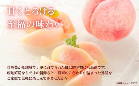 <2025年先行予約>岡山県産 厳選旬の桃 約2kg(6玉~9玉)【037-a001】