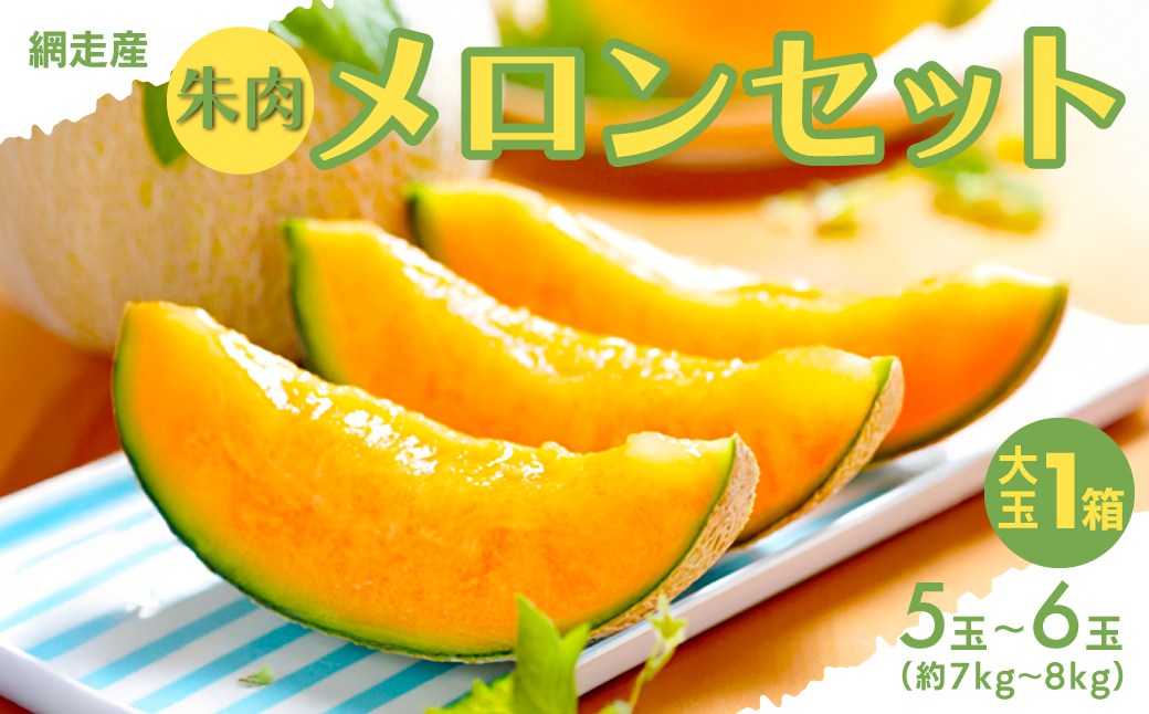 【期間・数量限定】甘くて美味しい 網走産朱肉メロンセット早期予約＜網走産＞（2025年6月15日以降発送） ABAO2027