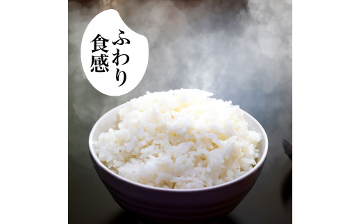 R8年産 新米 こしひかり 10kg 8月下旬から発送 厳選 高知県産 米 食味鑑定士 産地直送 お米 白米 精米 ごはん コシヒカリ ご飯 高知 県 産 須崎 市  米 NPO013-3x 10kg