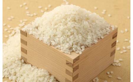 【令和6年産】 熊本県産森のくまさん無洗米 7kg +お米のお菓子 サクサクキャラポン 60g×1袋