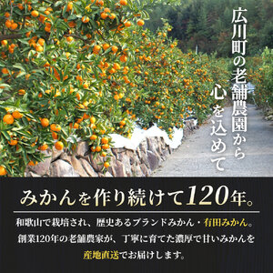 有田 みかん 小玉 5kg 【 創業120年 農家直送 】 / 温州みかん 有田みかん 甘い 小粒 和歌山 柑橘 ※2026年11月中旬～2027年1月下旬に順次発送  【isy004-s-5A】