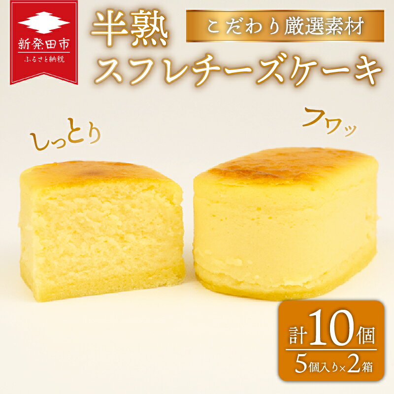 【ふるさと納税】 半熟スフレ チーズケーキ10個 5個入り 2箱 贈答 母の日 ギフト おすすめ 菜菓亭 新潟銘菓 新潟 新発田 いえい 菜菓亭 洋菓子 お歳暮 iei001_01