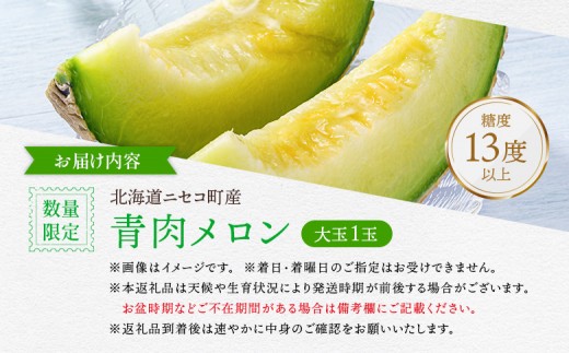 【北海道ニセコ町産】青肉メロン大玉1玉　＜数量限定・2026年早期予約・7月下旬より出荷予定＞