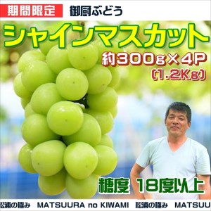 御厨ぶどうシャインマスカット4P 約1.2kg【B7-019】 果物 フルーツ ブドウ マスカット 松浦産 シャインマスカット デザート 甘い 予約