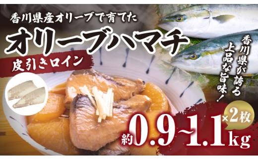 
                  オリーブハマチ（養殖）　皮引きロイン
                