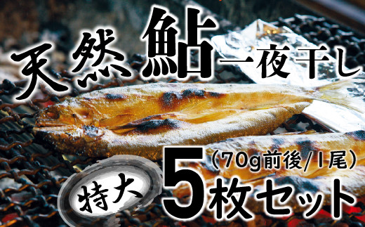 
四万十川の天然鮎　特大サイズ一夜干し5枚セット Esg-27 あゆ アユ 魚 魚介 川魚 塩焼き 干物 ひもの 海鮮
