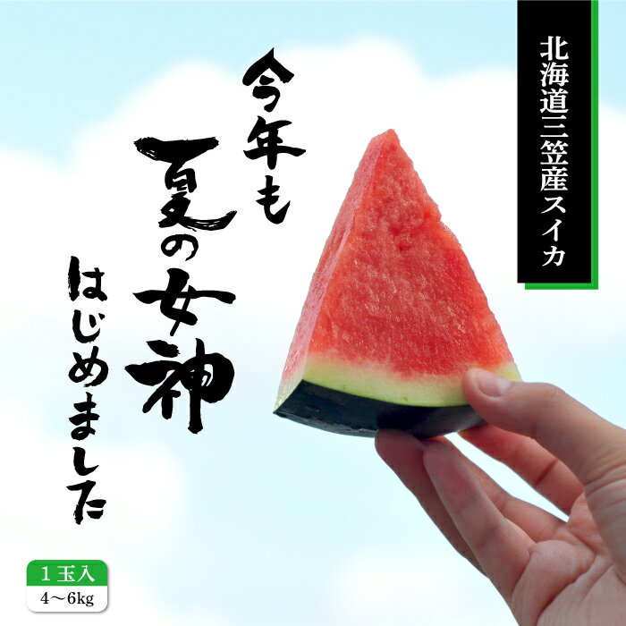 【ふるさと納税】《2026年分受付中》『夏の女神』種が少なくて甘い黒皮スイカ1玉入（中玉4～6kg）| ふるさと納税 北海道 三笠 西瓜 スイカ すいか 中玉 黒皮 赤色 くだもの 果物 フルーツ 産地直送 お取り寄せ ワンストップ マイページ 富田広之農園 三笠市【01005】