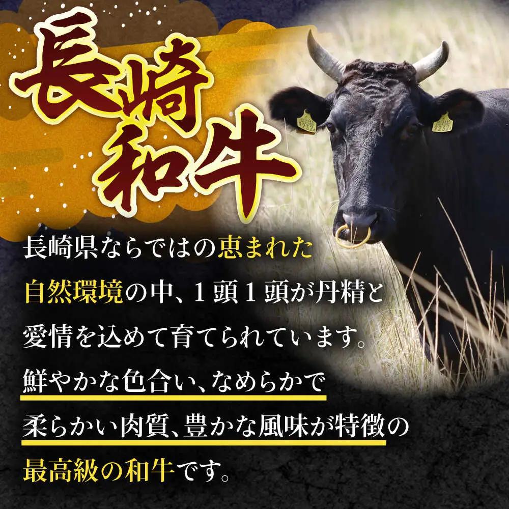 長崎和牛ハンバーグ 5個[OCE063]