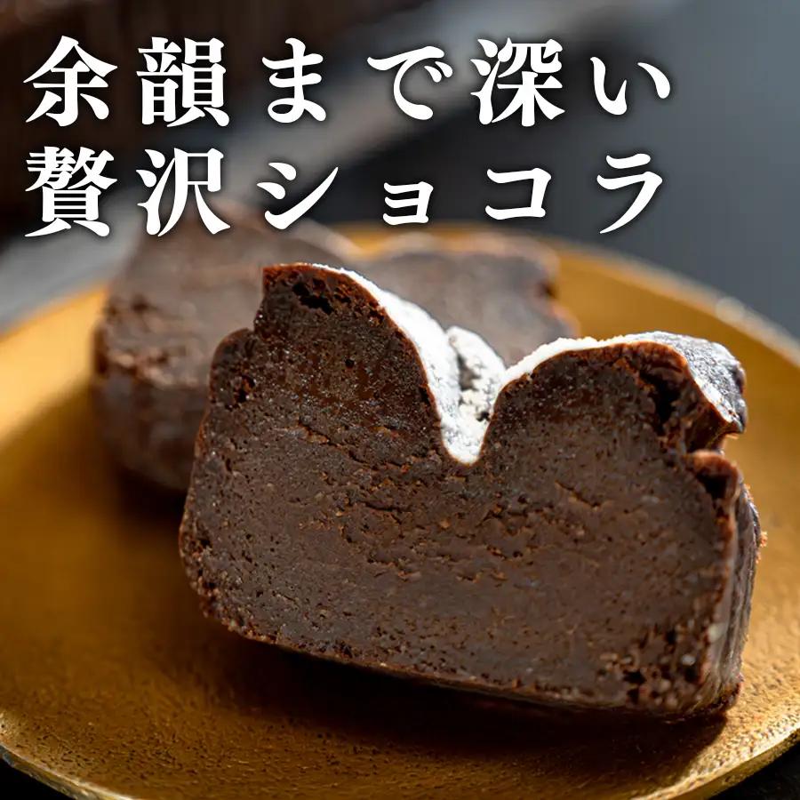 濃厚 ガトーショコラ 1本 18cm 定期便 3回 なめらか 小麦粉不使用 チョコレート ケーキ