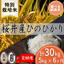 【ふるさと納税】＜特別栽培米＞桜井市高家産 ヒノヒカリ 5kg 定期便（全6回）／ブランド米 玄米 白米 奈良県産 桜井市産 奈良のお米 ひのひかり 藤本農園