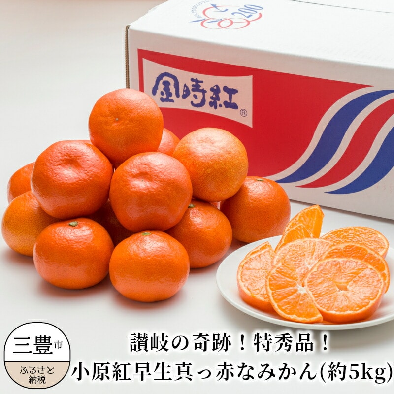 特秀品!小原紅早生真っ赤なみかん(約5kg)