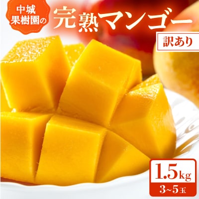 【2026年7月から順次発送・白箱】中城果樹園の完熟アップルマンゴー 訳あり1.5kg(3～5玉)【配送不可地域：離島】