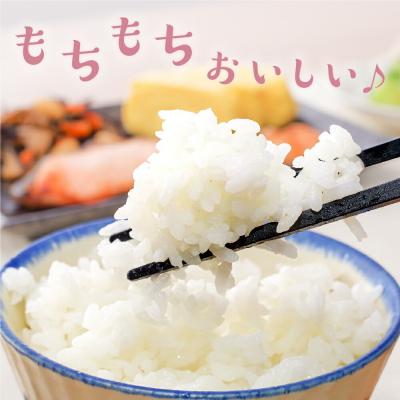 ふるさと納税 米沢市 【 6ヶ月定期便 / 令和7年産 】 はえぬき 計10kg/月 ( 1回配送 5kg×2袋 ) |  | 01