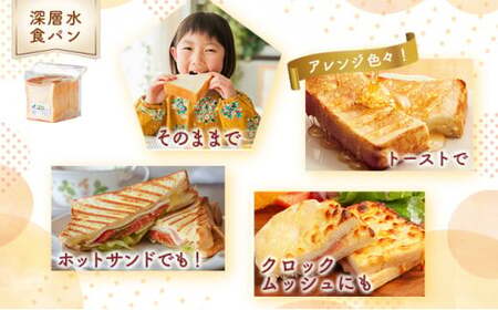 12回定期便 食パンセット【室戸海洋深層水仕込み】 4斤×12回 食パン もちもち ぱん 北海道産小麦使用